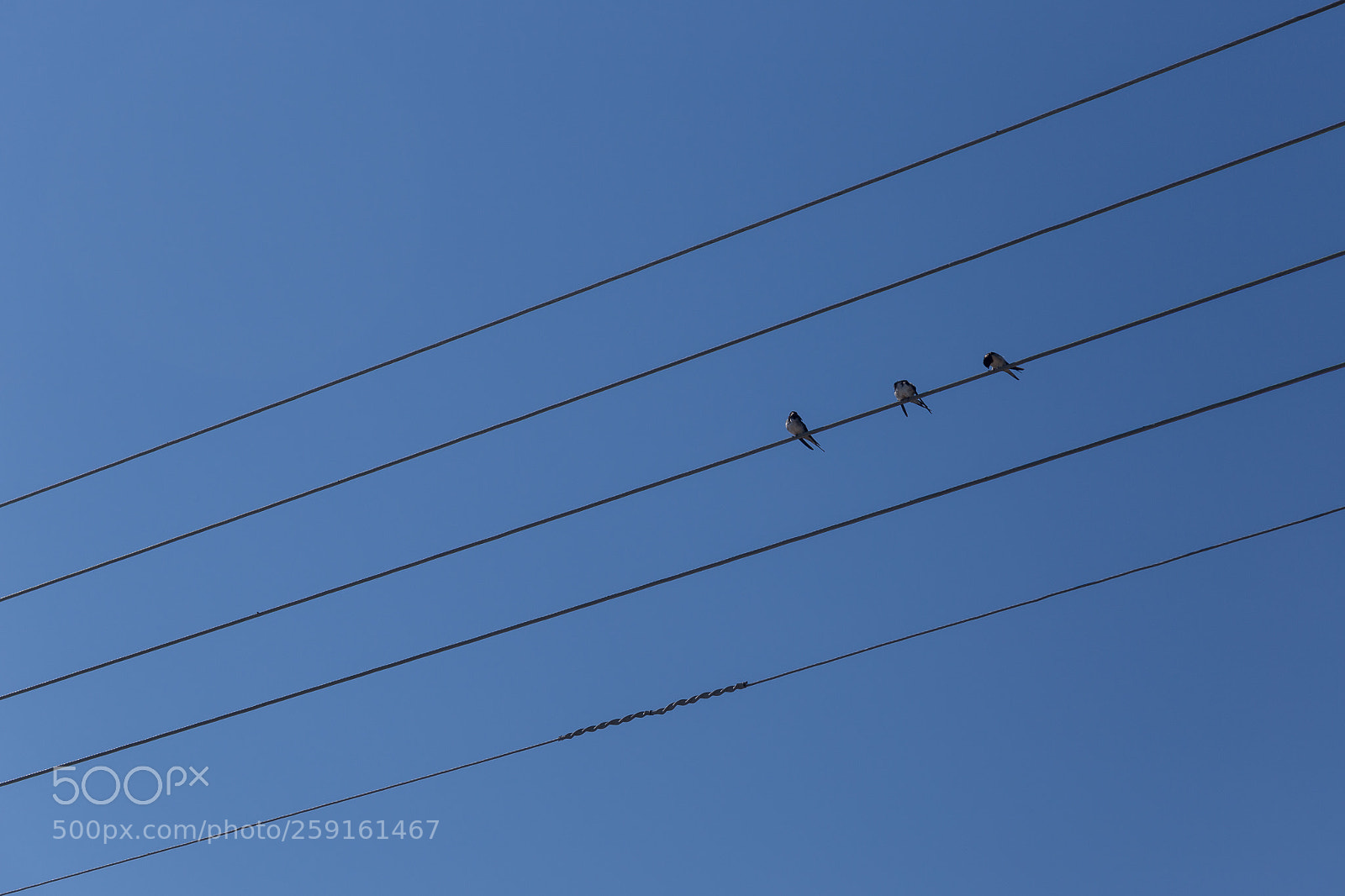 Canon EOS 6D sample photo. Notation photography