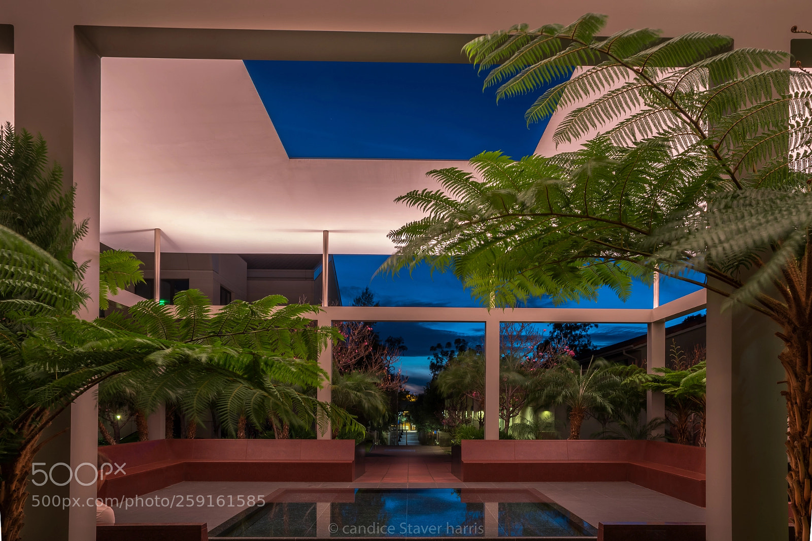 Nikon D750 sample photo. Dividing the light photography