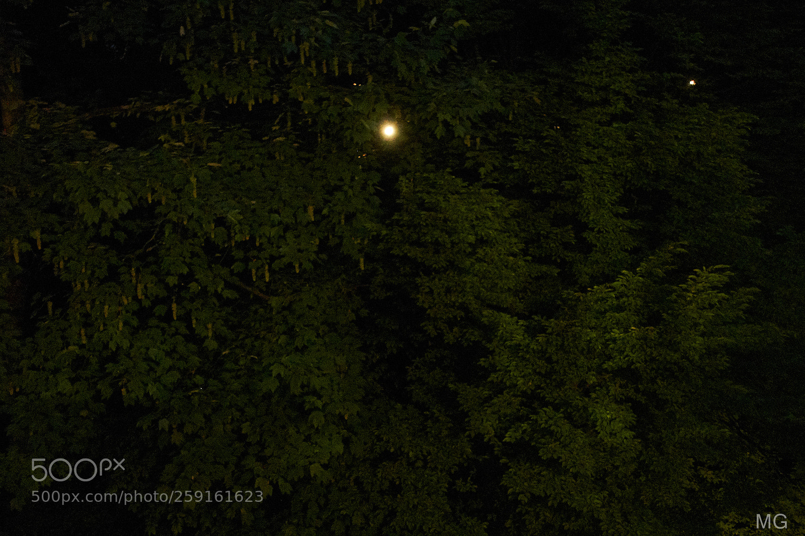 Sony DSC-RX100M5 sample photo. Scary photography