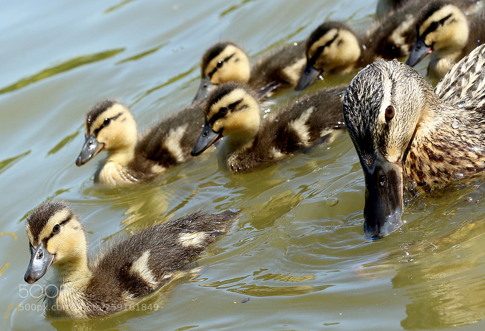 Canon EOS 7D Mark II sample photo. Family life photography