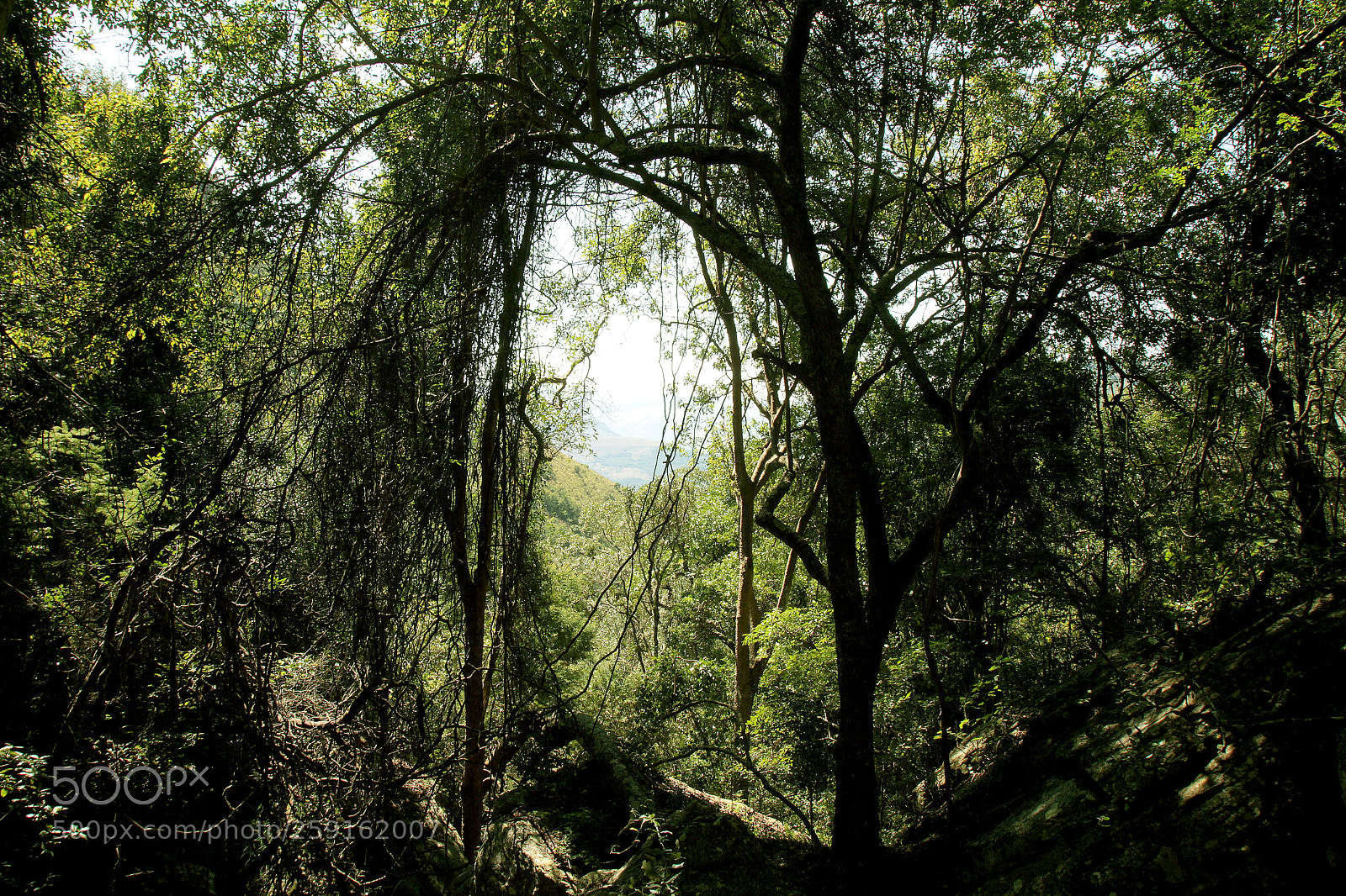 Canon EOS 7D sample photo. Tranqilitas frame photography
