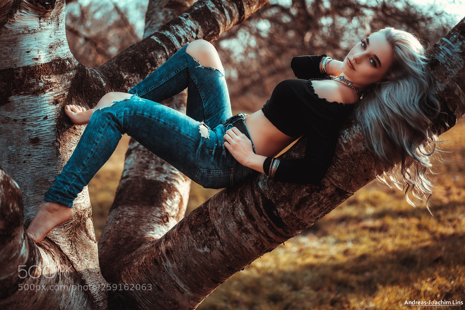 Sony a7R II sample photo. Beautiful creatures photography
