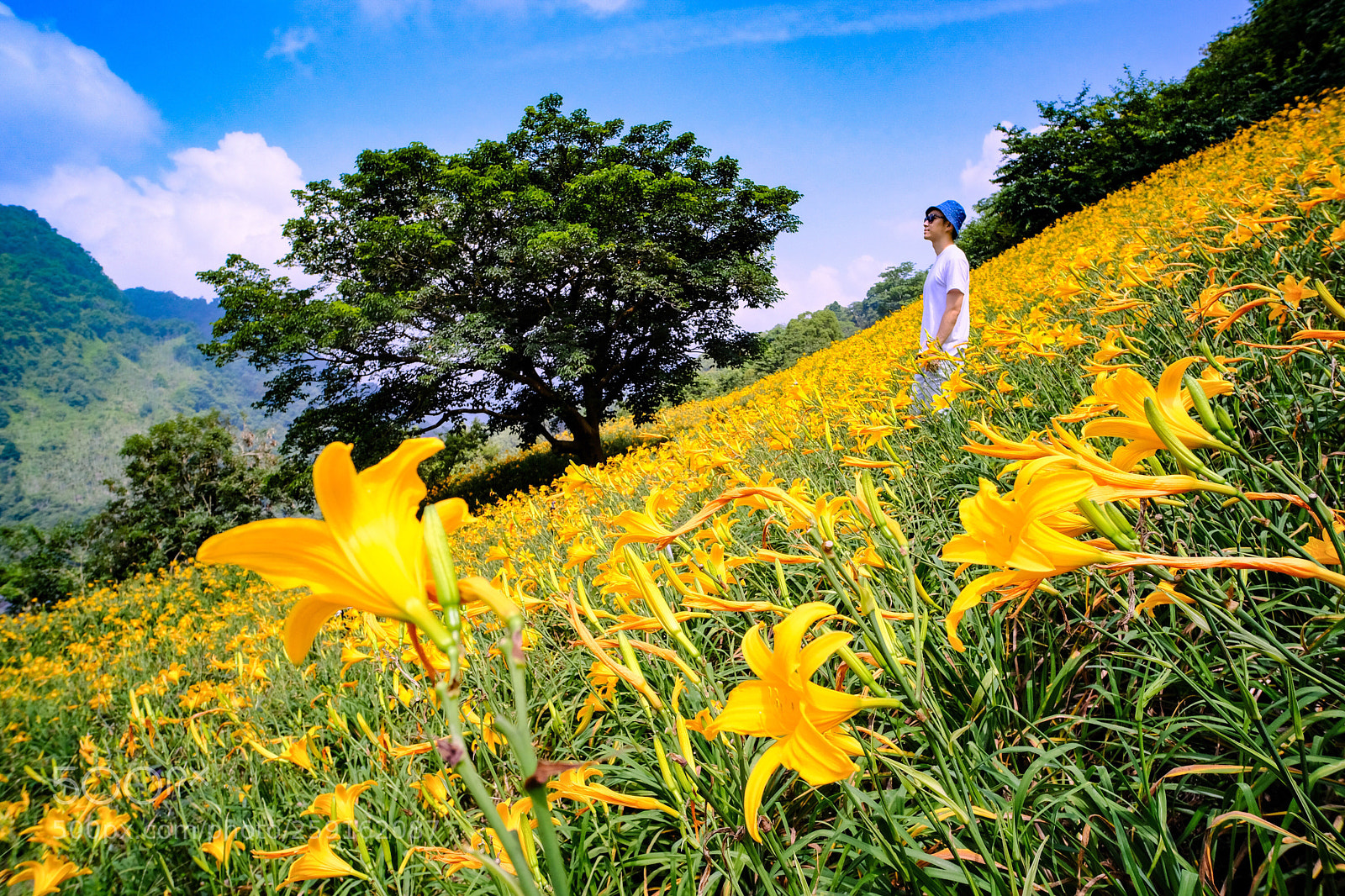Fujifilm X-T2 sample photo. Amazing_taiwan photography
