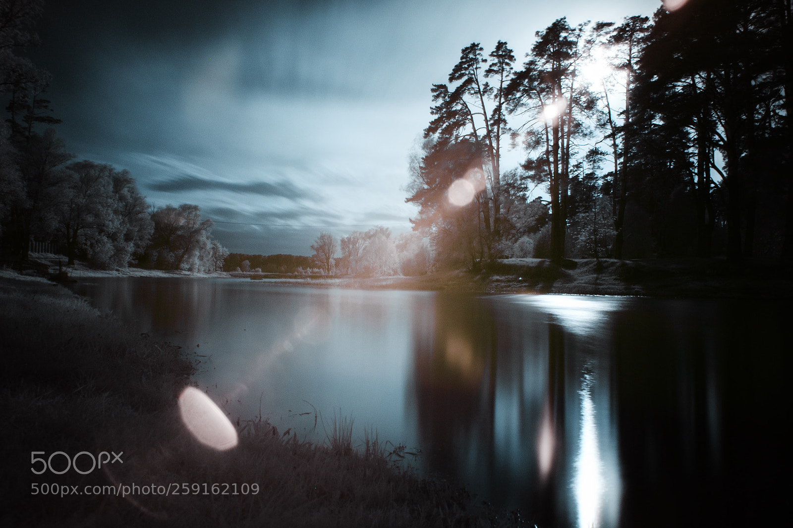 Canon EOS 5D Mark II sample photo. Infrared photography