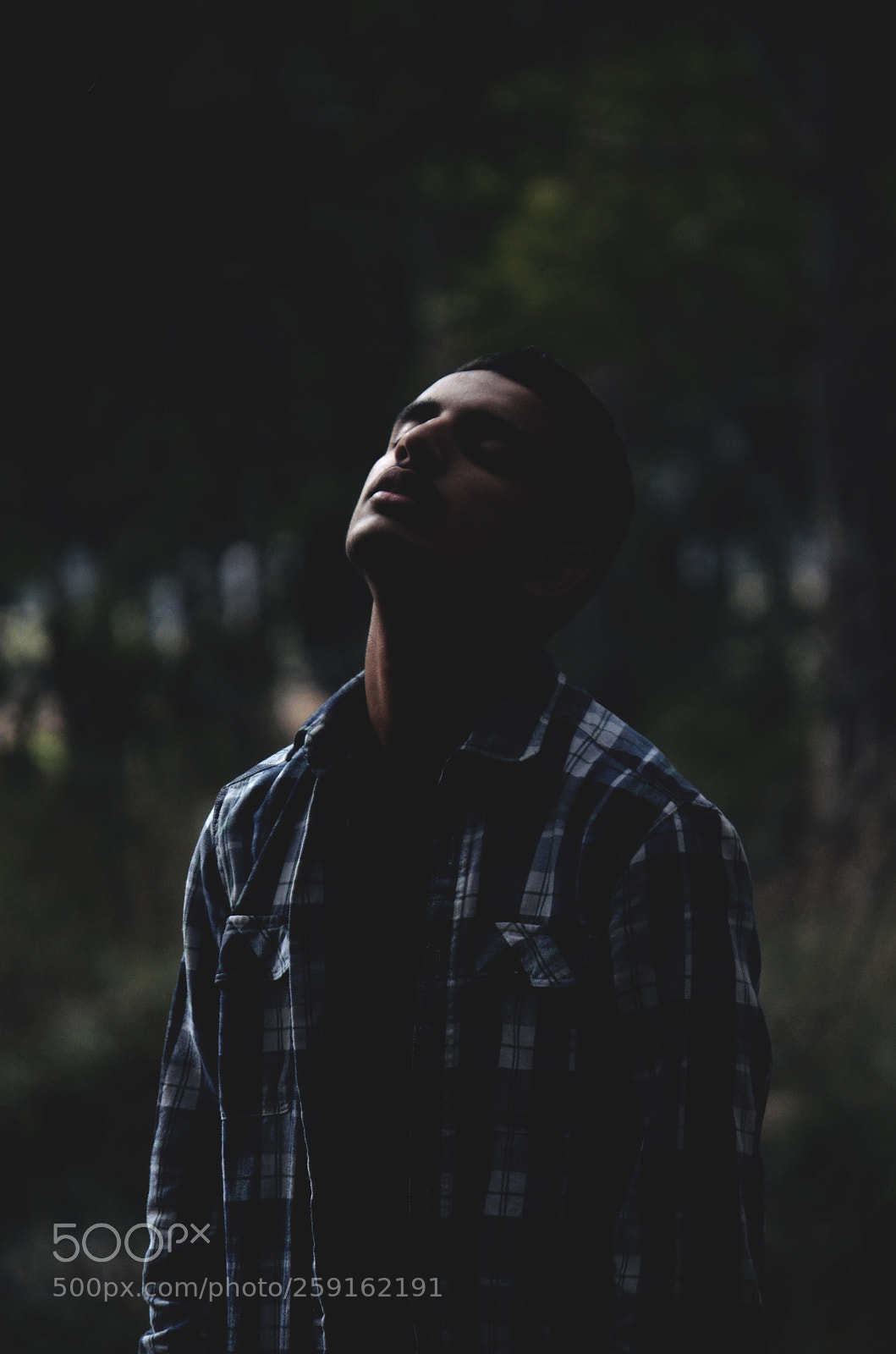 Nikon D5100 sample photo. The silent forest photography
