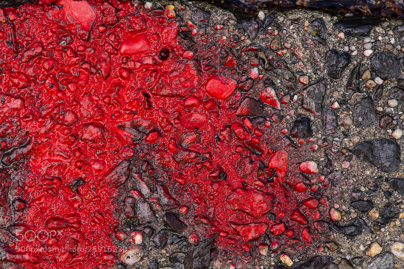 Canon EOS 60D sample photo. Detail opf wet sidewalk photography