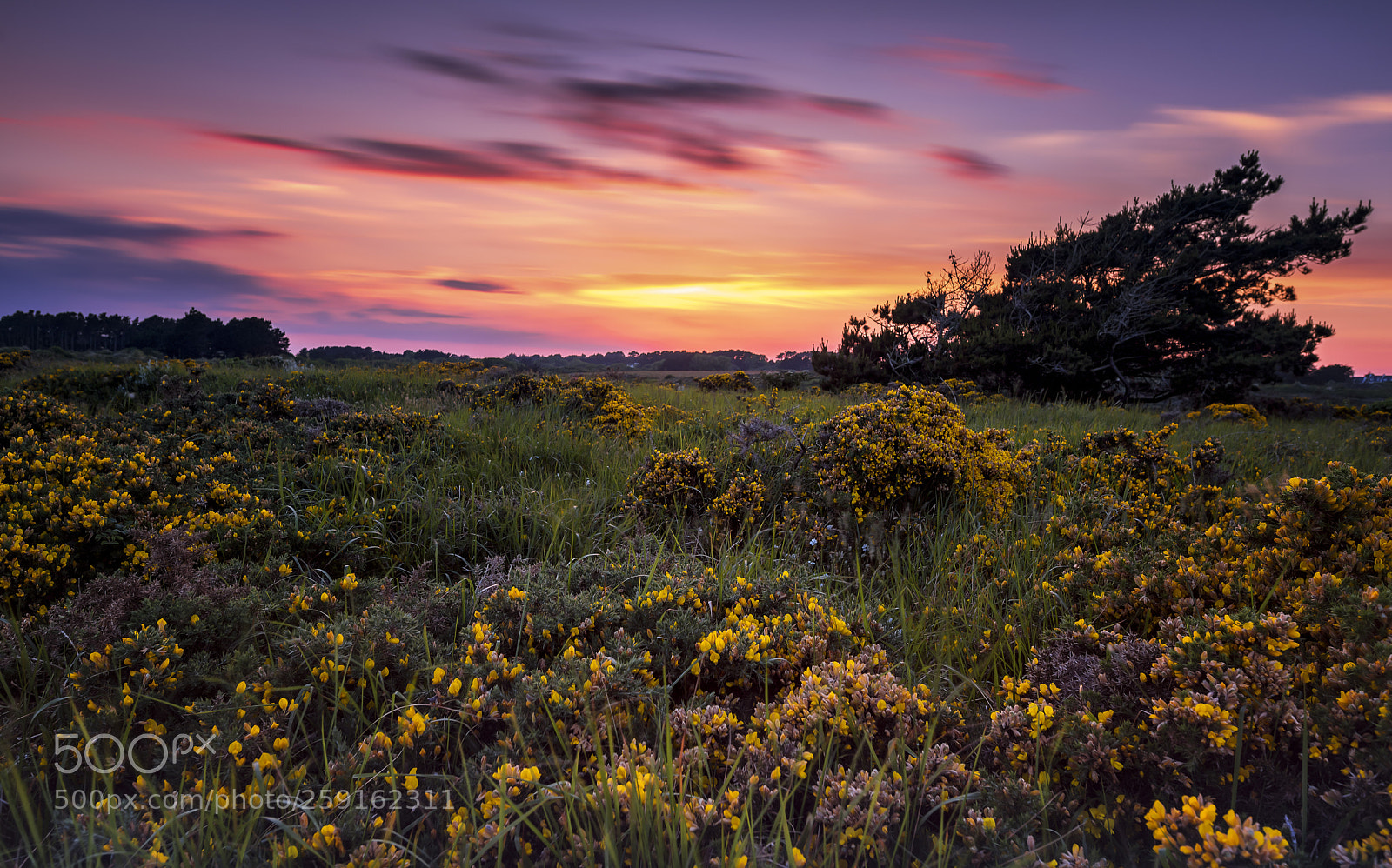 Nikon D750 sample photo. Belle-Île-en-fleur photography