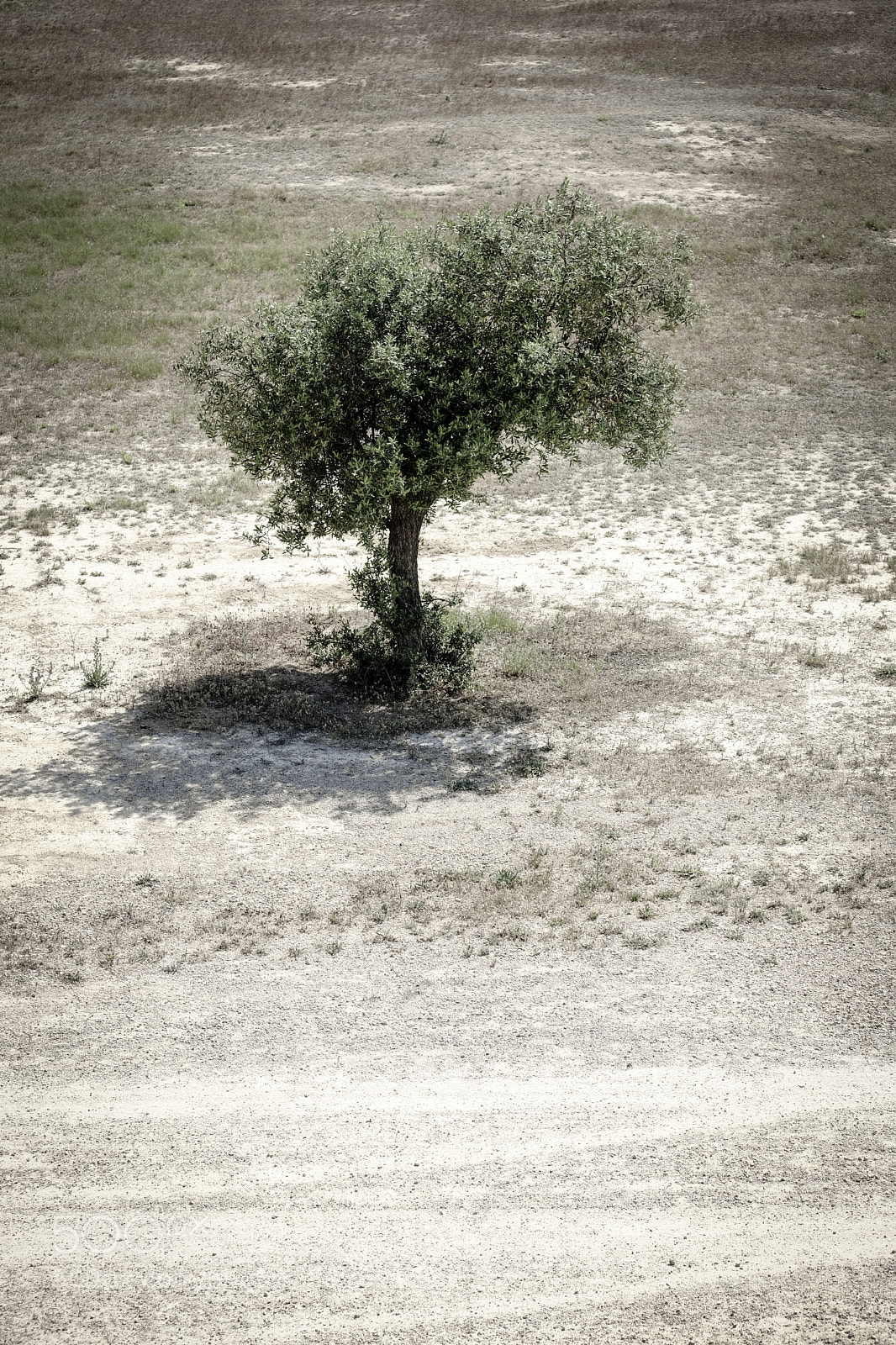 Fujifilm X-T2 sample photo. Desolating landscape photography