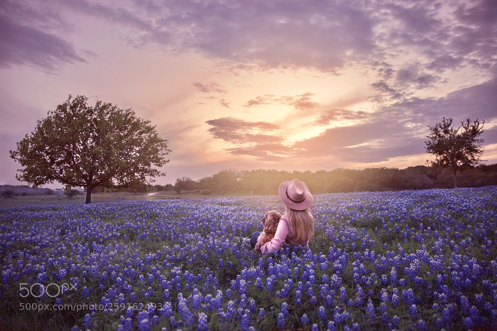 Canon EOS 6D sample photo. Field of dreams photography