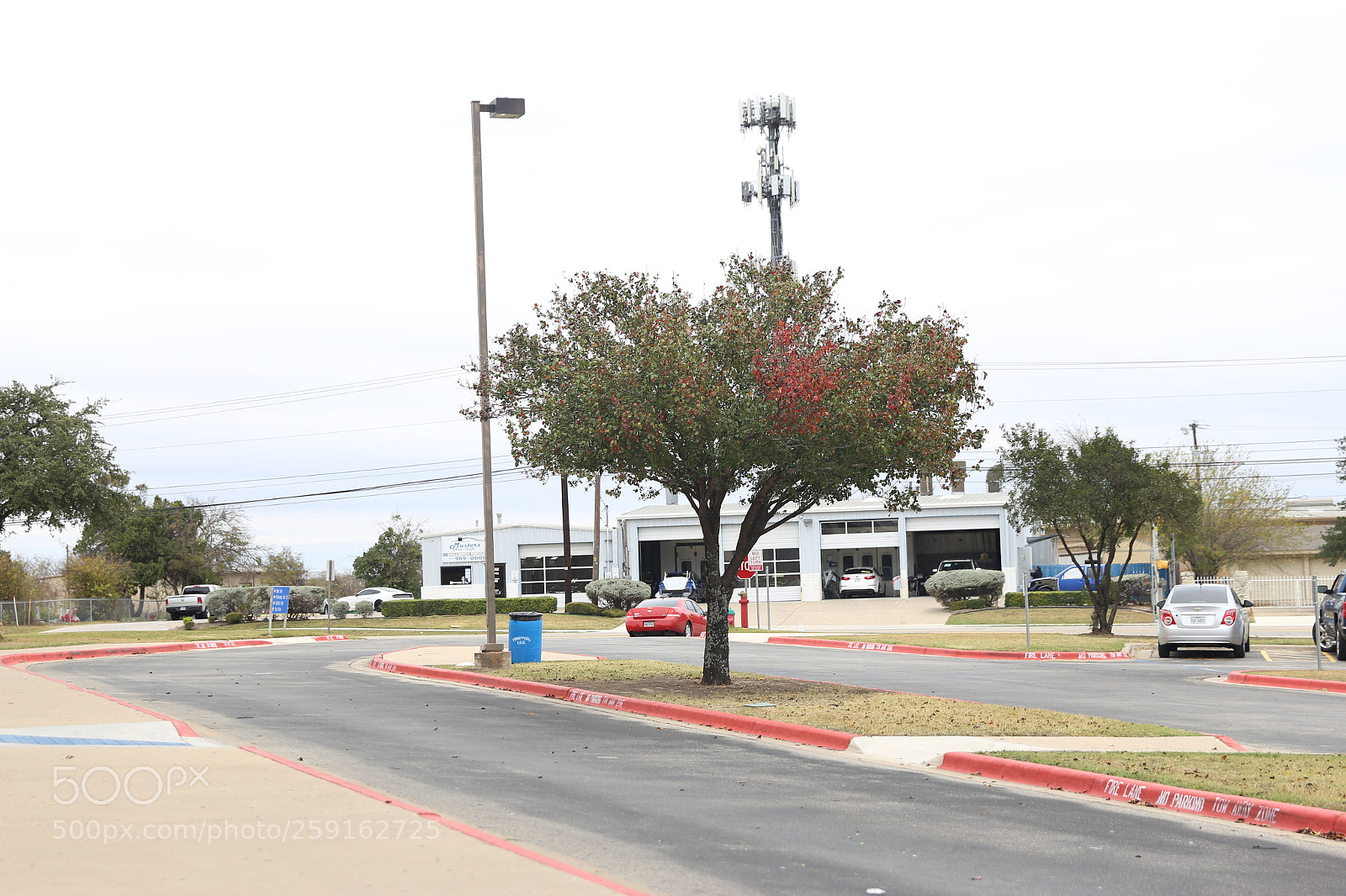 Canon EF 24-70mm F2.8L II USM sample photo. Img photography