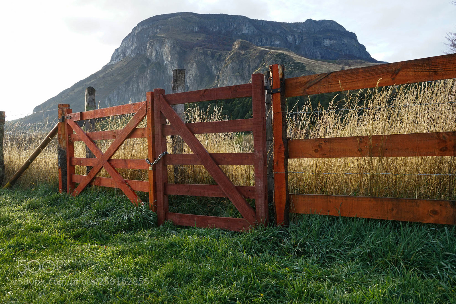 Sony a7 II sample photo. Dsc09084-3.jpg photography