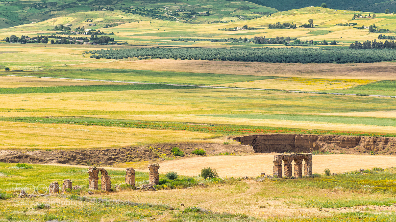 Nikon D5300 sample photo. Aqueduct of chemtou tunisia photography