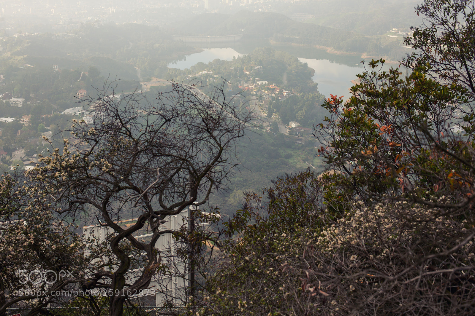 Canon EOS 5D Mark II sample photo. Stunning view of hollywood photography