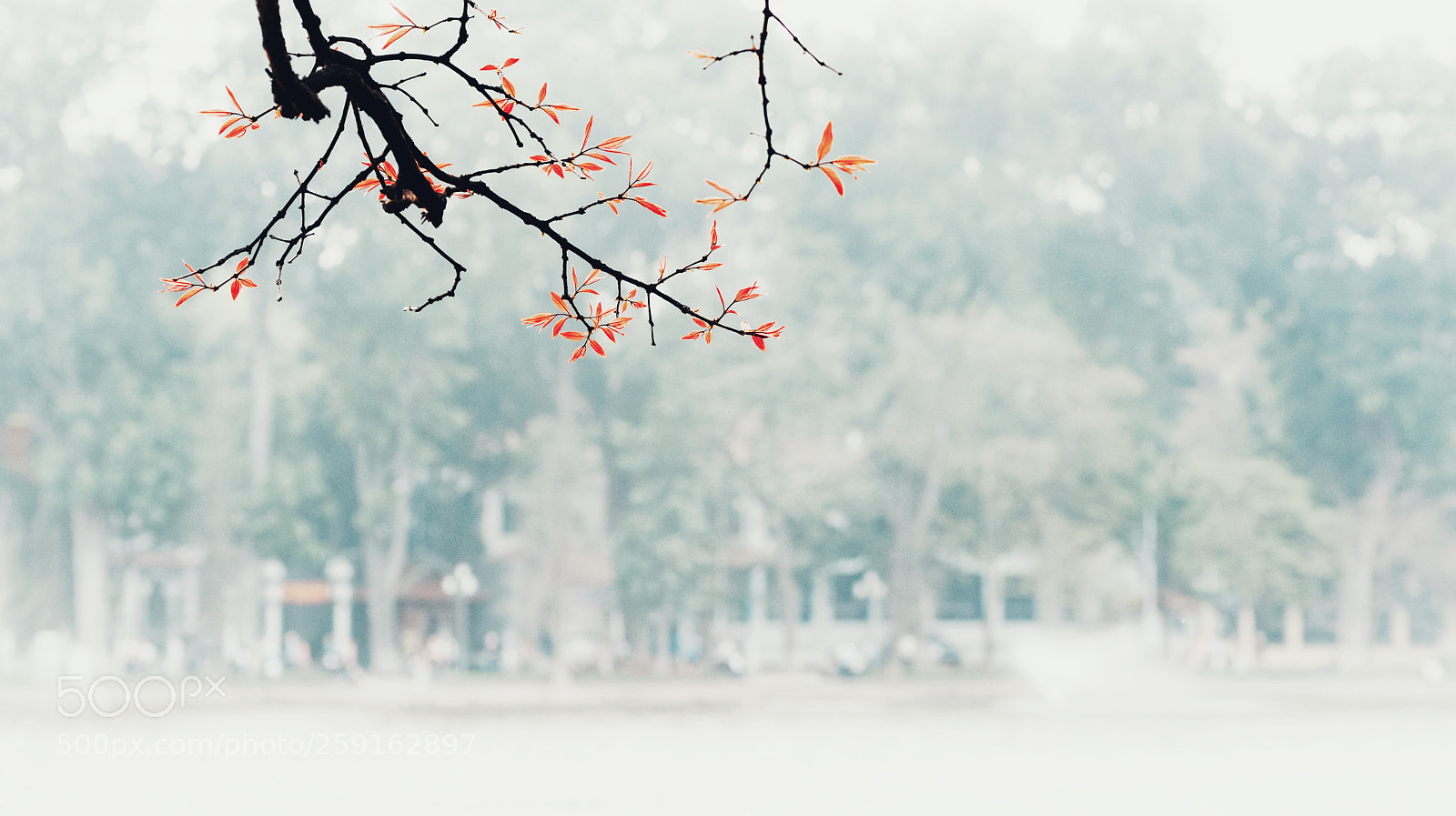 Nikon D7100 sample photo. Untitled photography