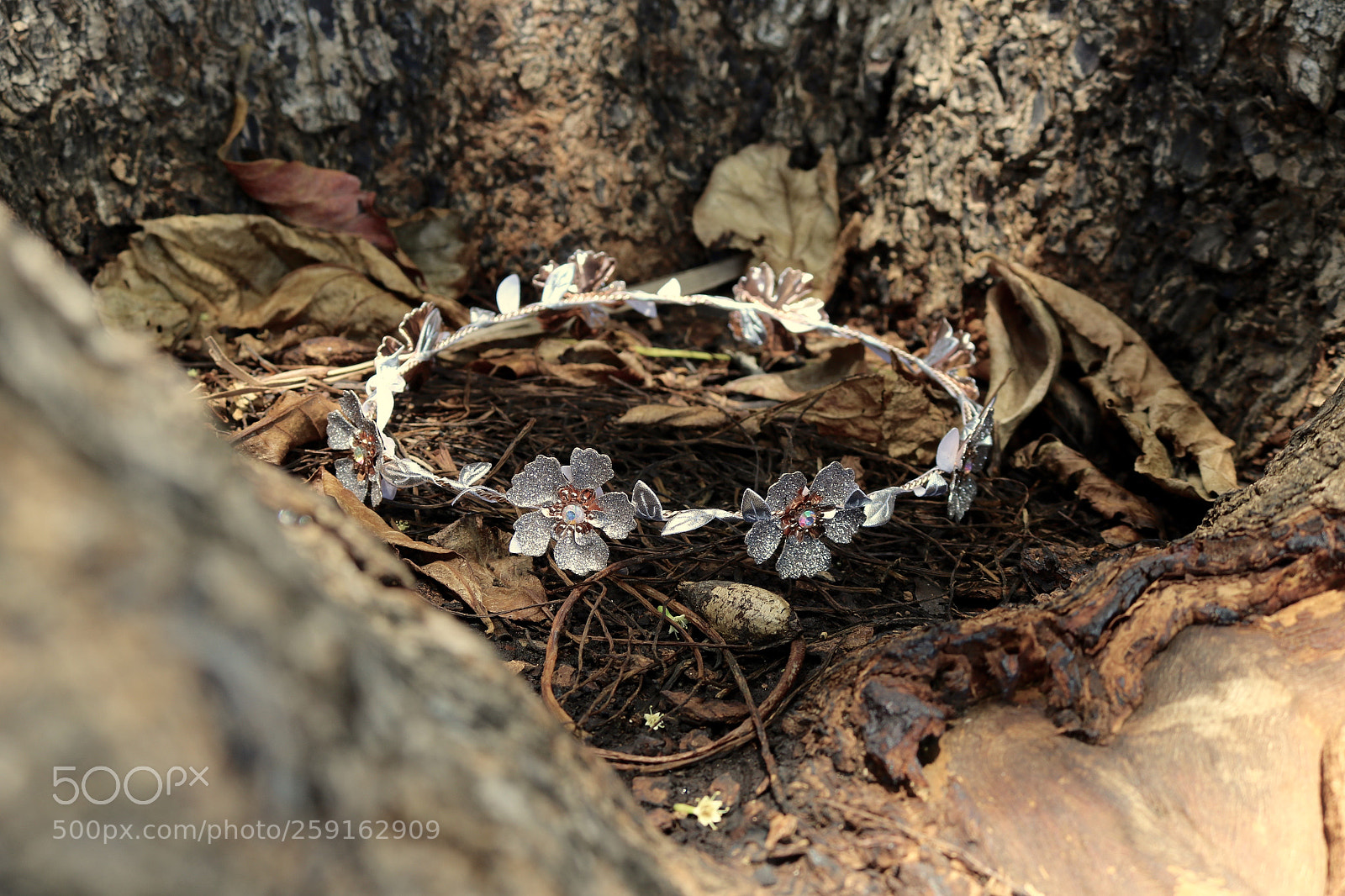 Canon EOS 750D (EOS Rebel T6i / EOS Kiss X8i) sample photo. Crown of flowers photography