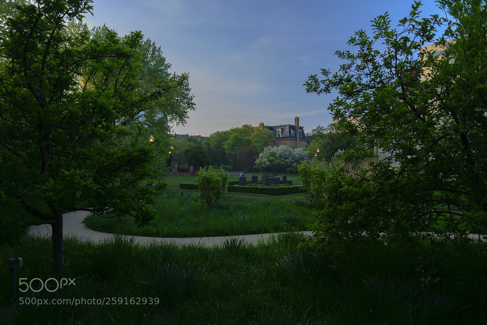 Nikon D800E sample photo. Dawn on the park photography