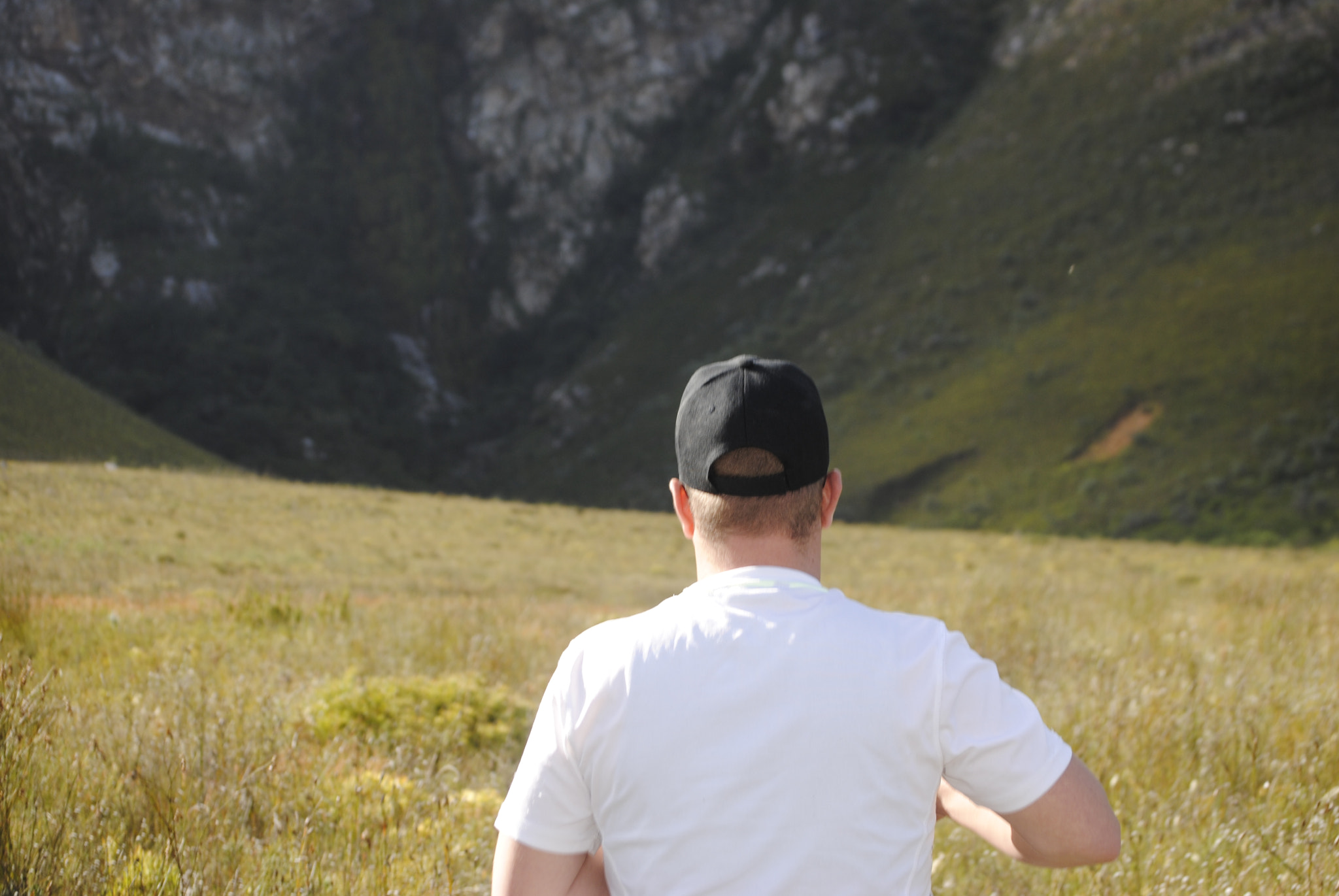 Nikon D3000 sample photo. Lost in nature photography