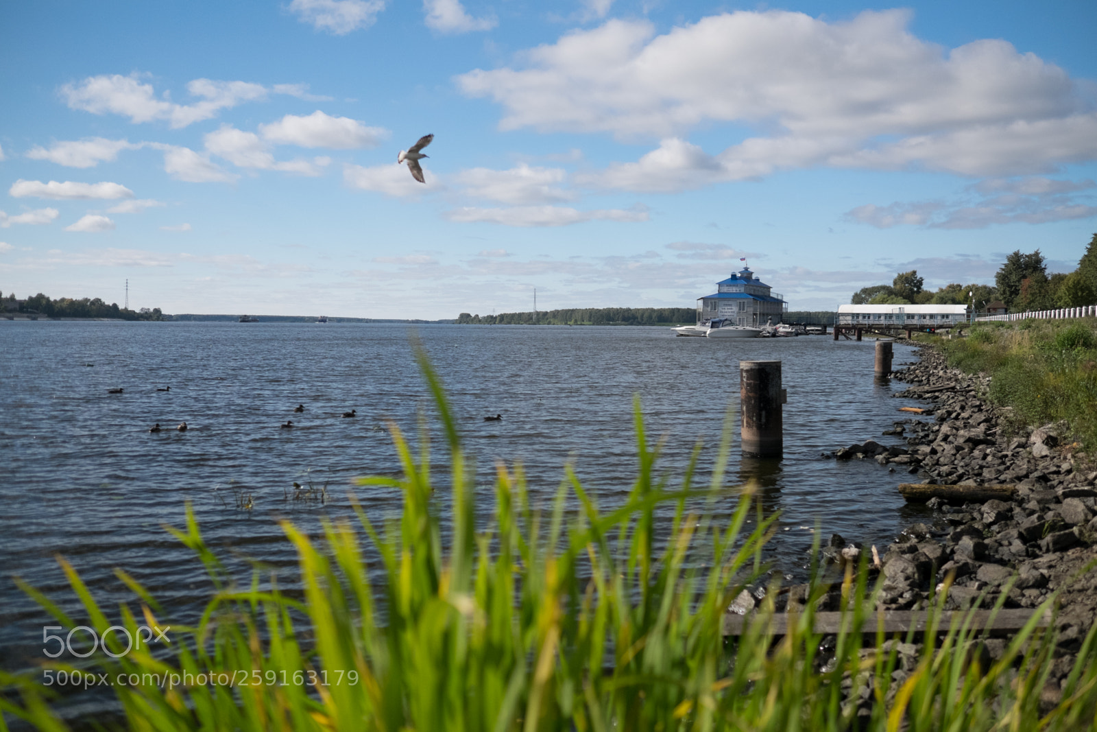 Fujifilm X-T1 sample photo. Kostroma 2017.09 photography