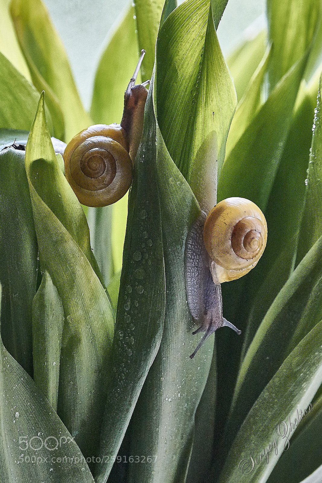 Nikon D7100 sample photo. Not gonna get us photography