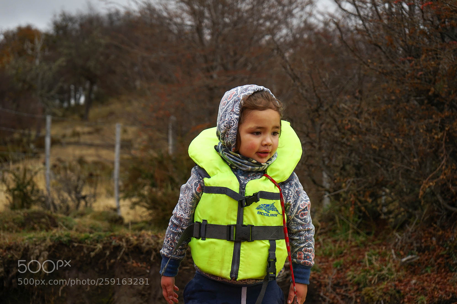 Sony a7 II sample photo. Dsc09061-2.jpg photography