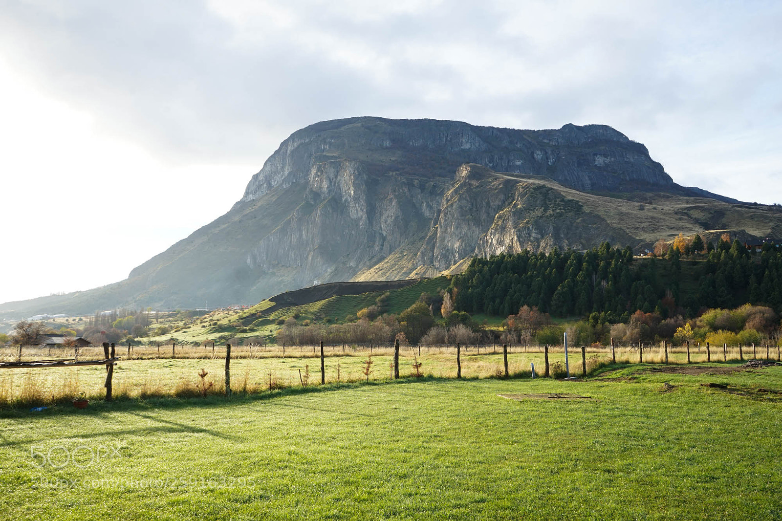 Sony a7 II sample photo. Dsc09077-2.jpg photography