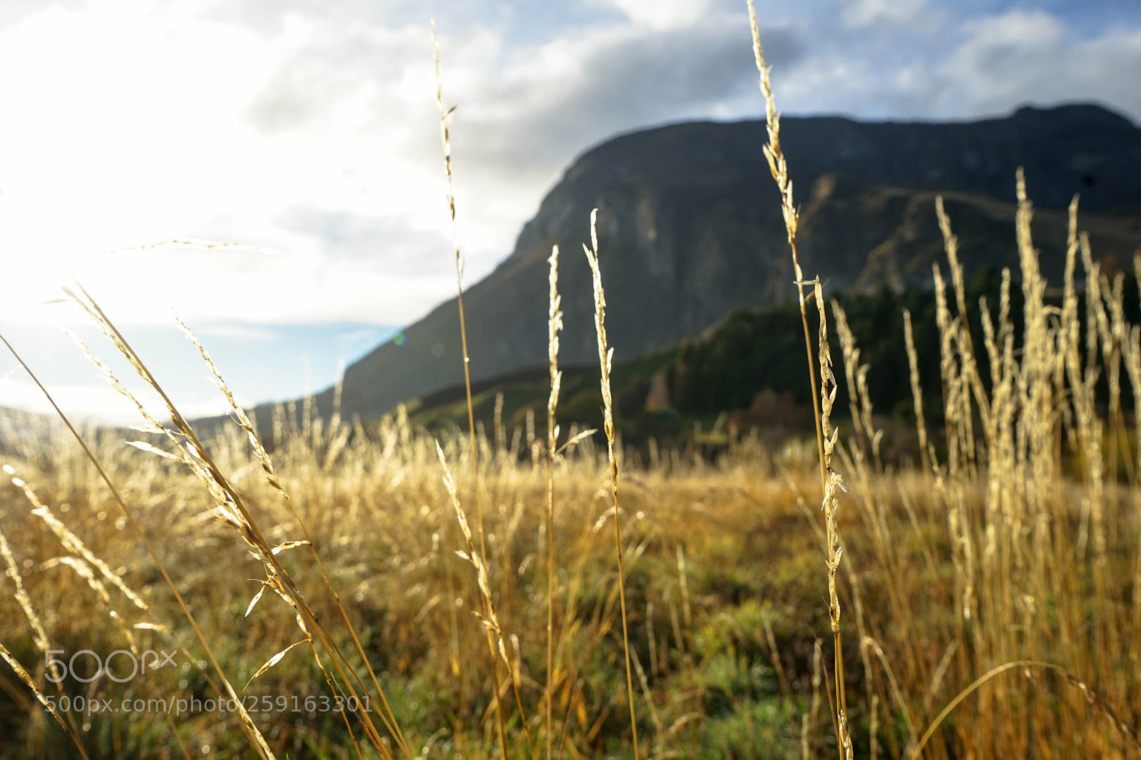 Sony a7 II sample photo. Dsc09087-2.jpg photography