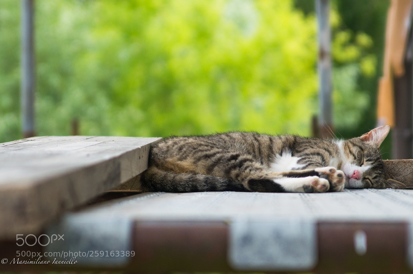 Nikon D3200 sample photo. Heavy days... photography