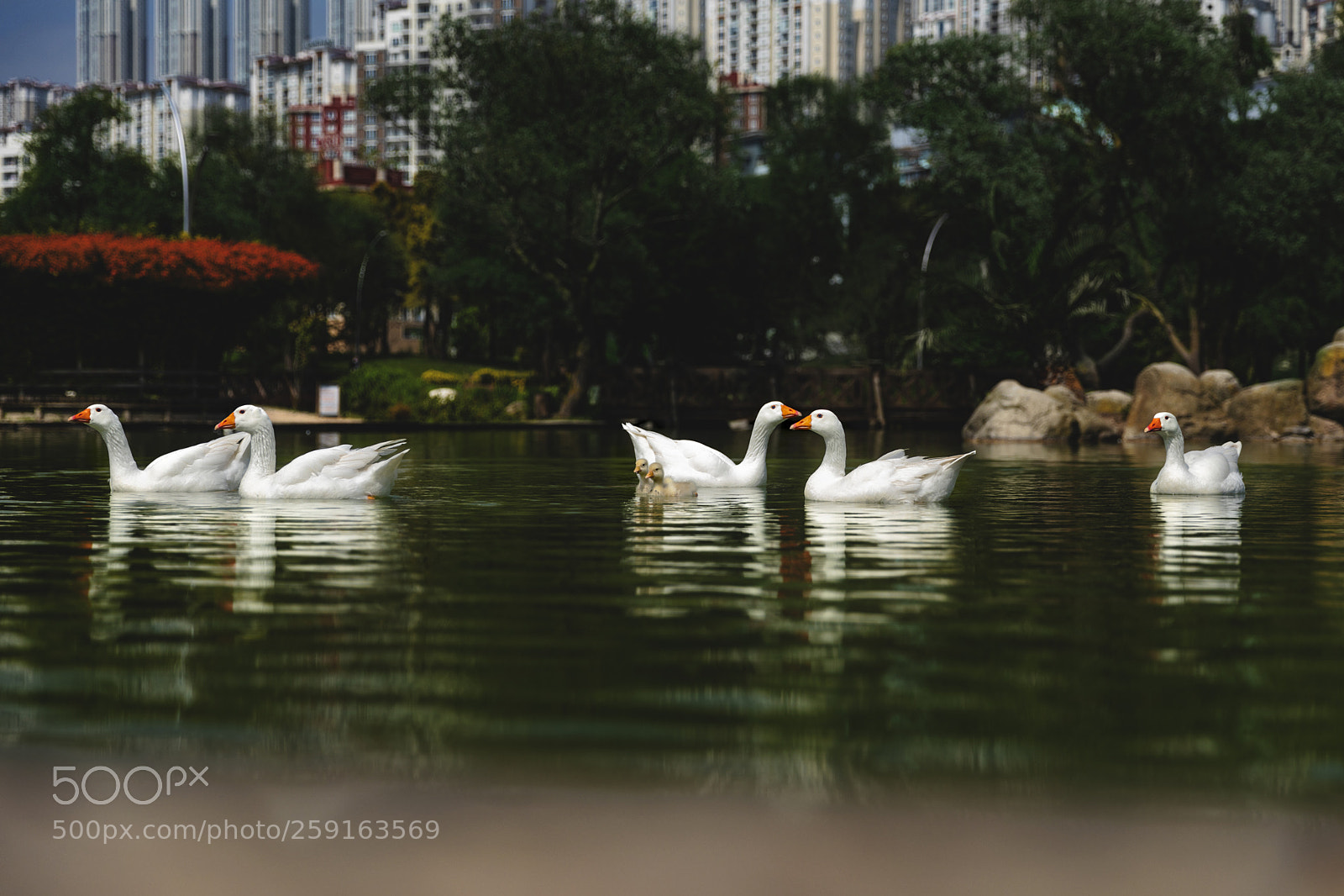 Canon EOS 5D Mark IV sample photo. The power of nature ... photography