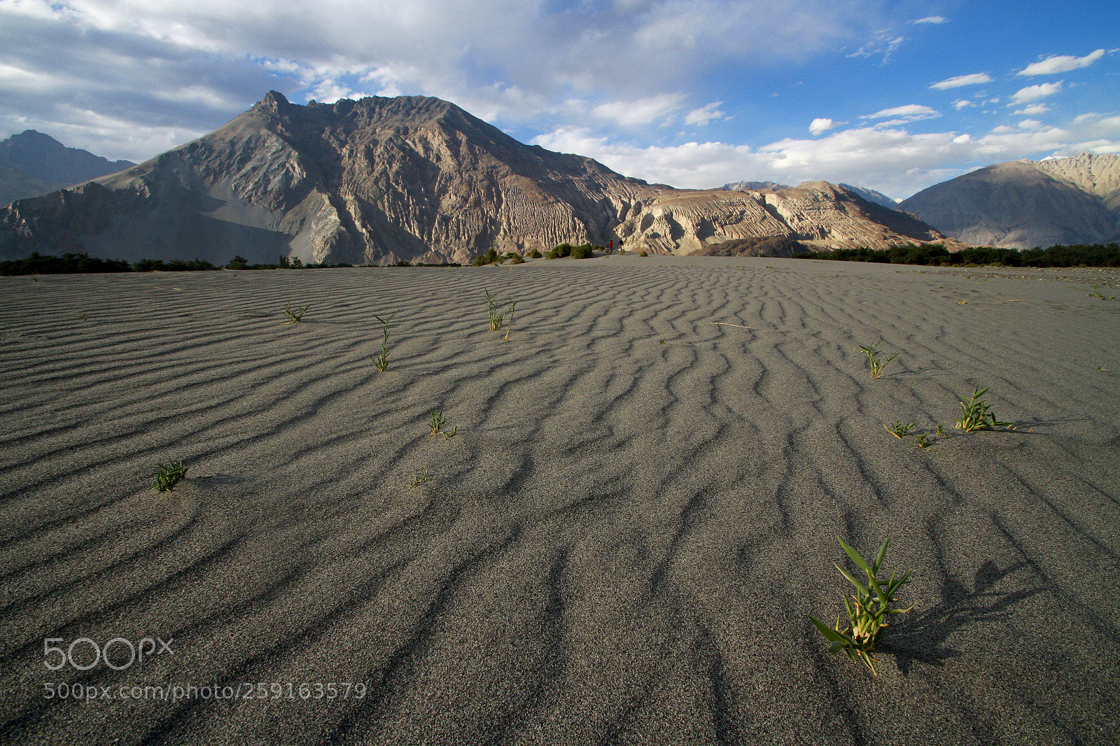 Canon EOS 7D sample photo. Nubra the cold desert photography