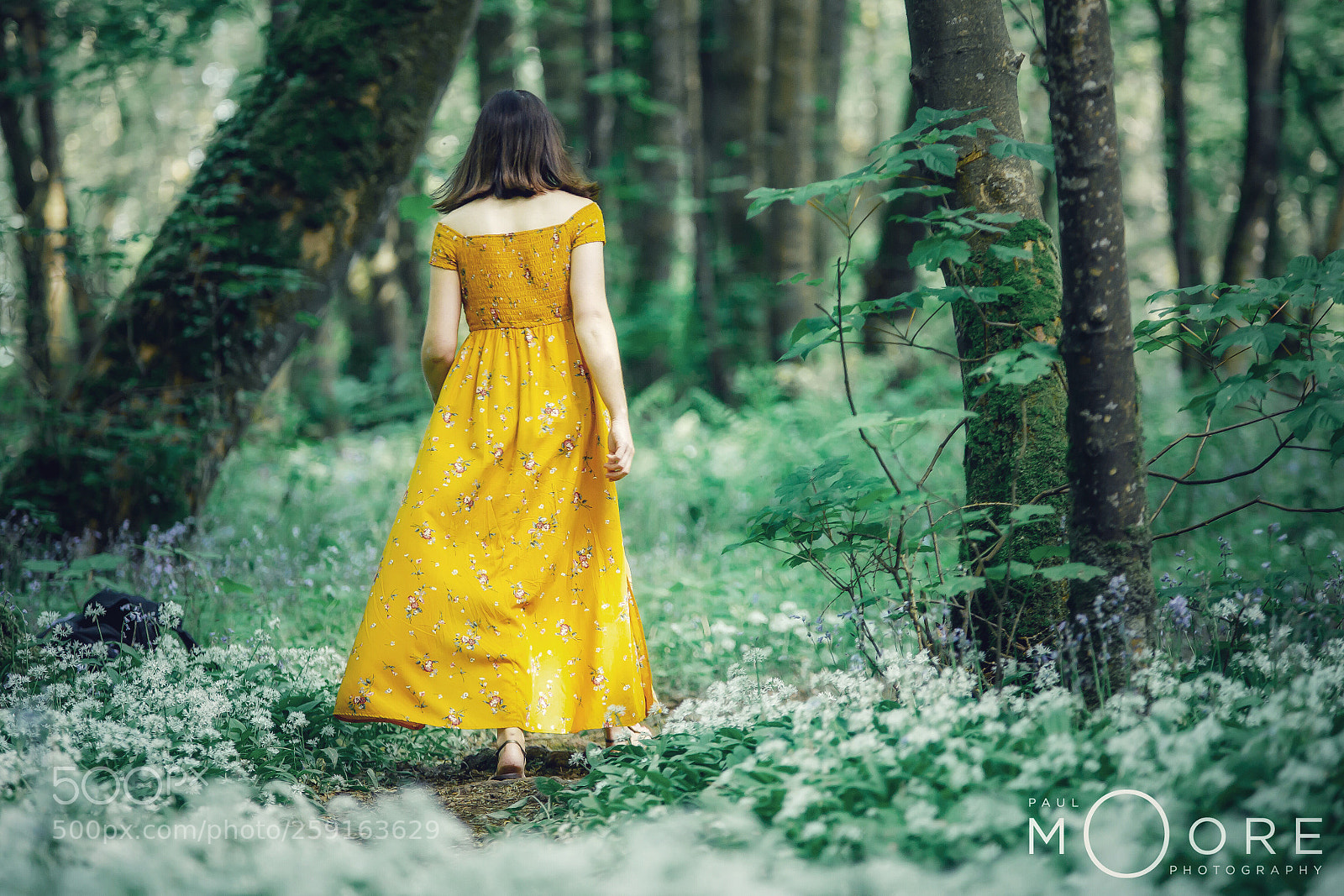 Canon EOS 6D sample photo. Yellow photography