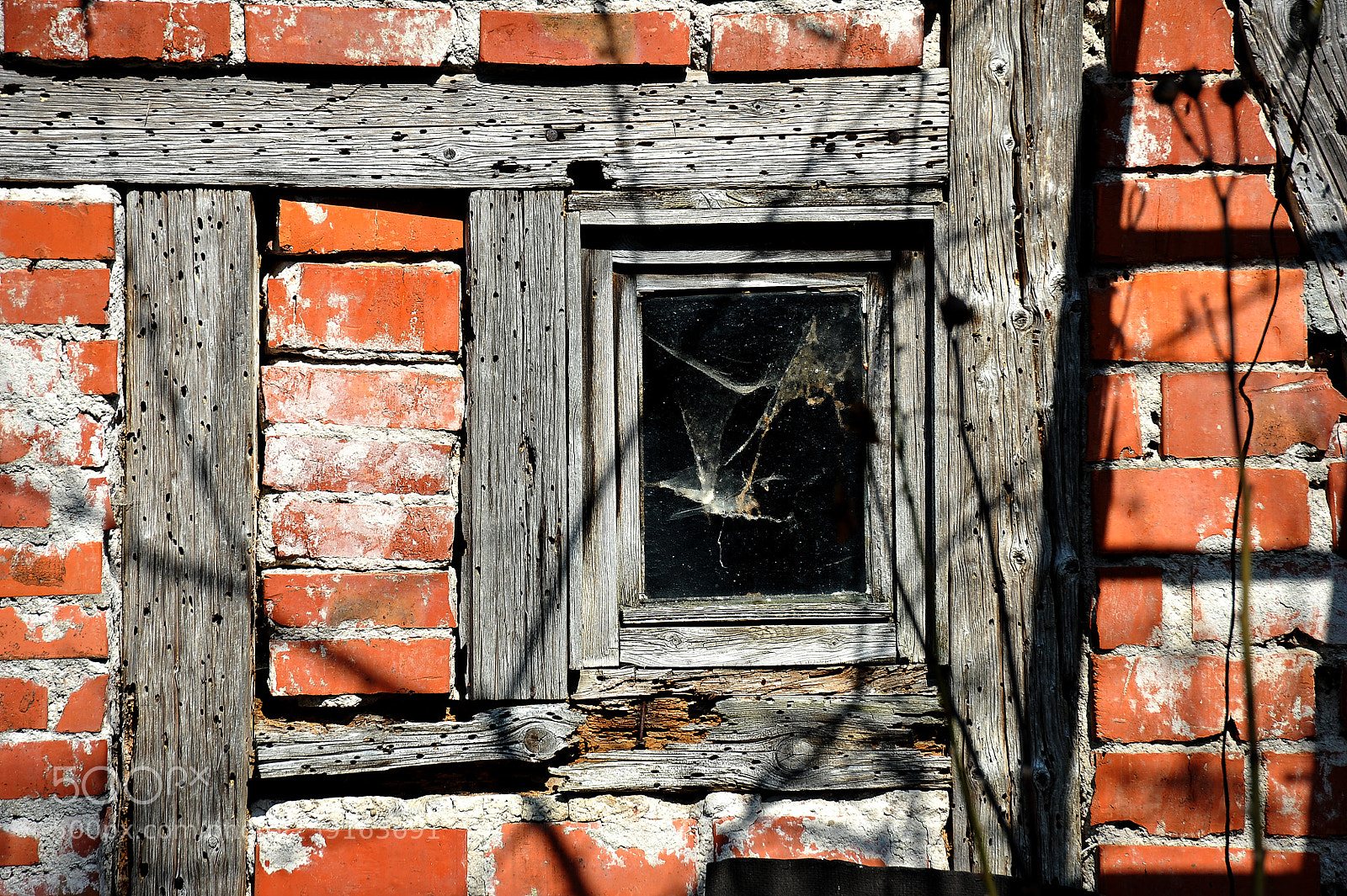 Nikon D700 sample photo. "as time goes by....." photography