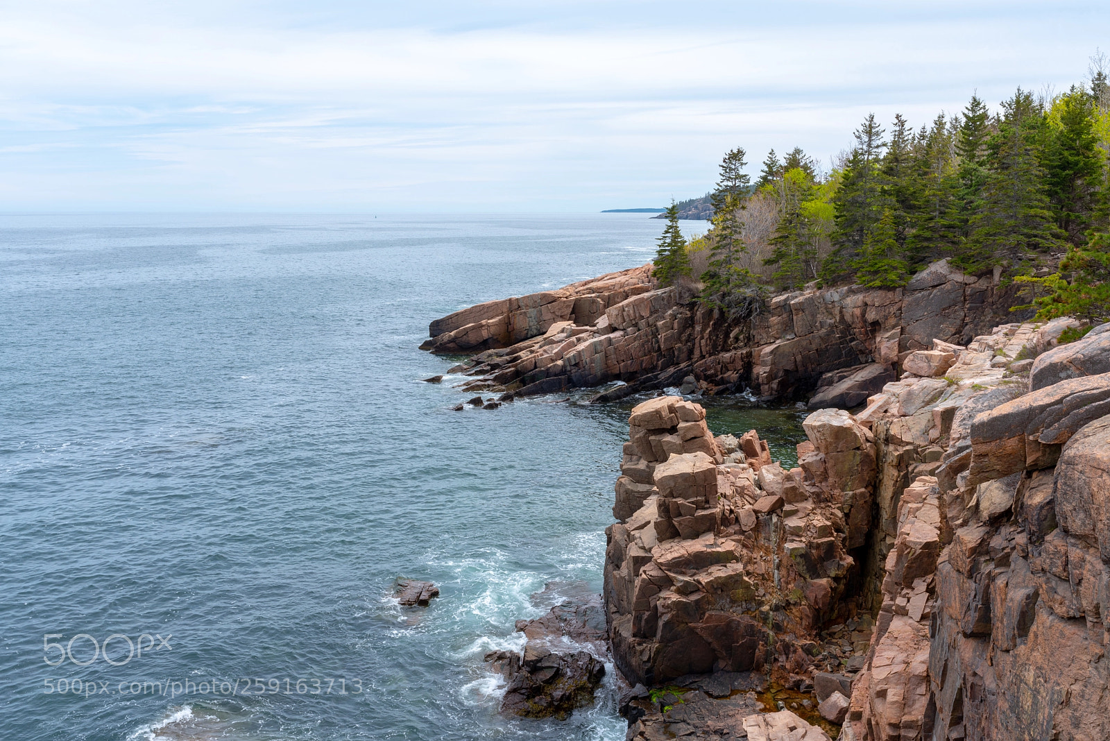 Nikon D750 sample photo. Acadia cliffs photography