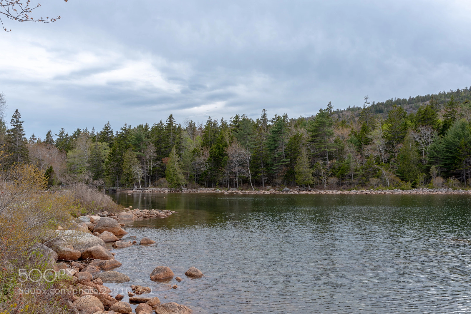 Nikon D750 sample photo. Jordan pond photography