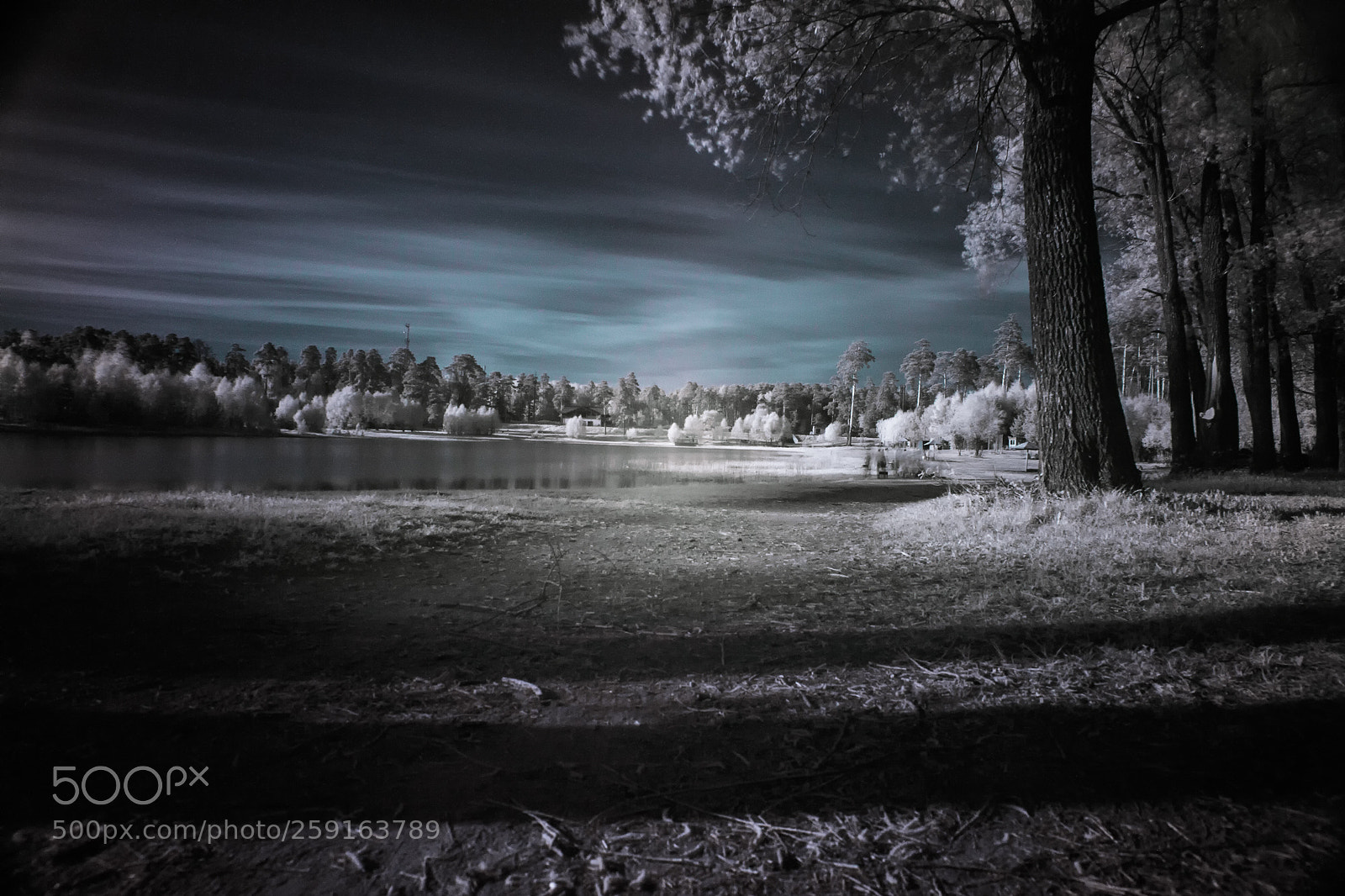 Canon EOS 5D Mark II sample photo. Infrared photography