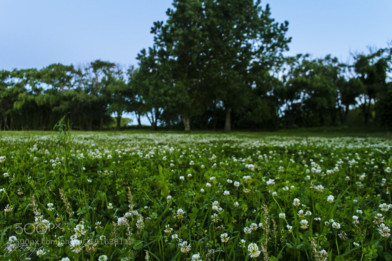Nikon D3200 sample photo. Untitled photography