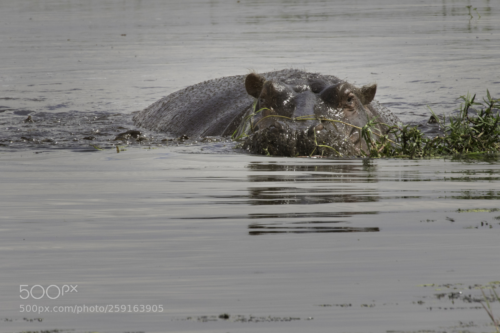 Canon EOS 7D Mark II sample photo. Da photography