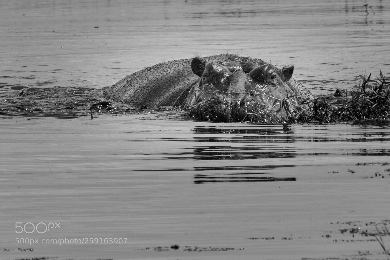 Canon EOS 7D Mark II sample photo. 4d2a0626-2.jpg photography