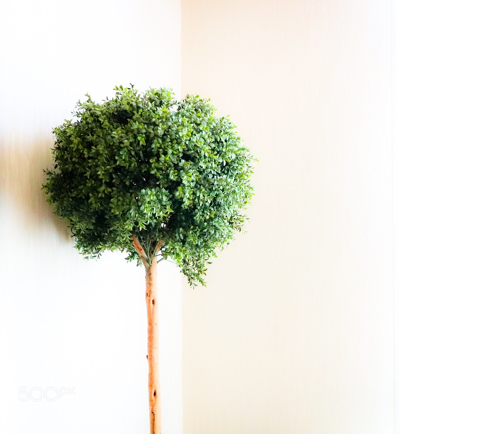 Canon EOS 77D (EOS 9000D / EOS 770D) sample photo. Cozy place photography