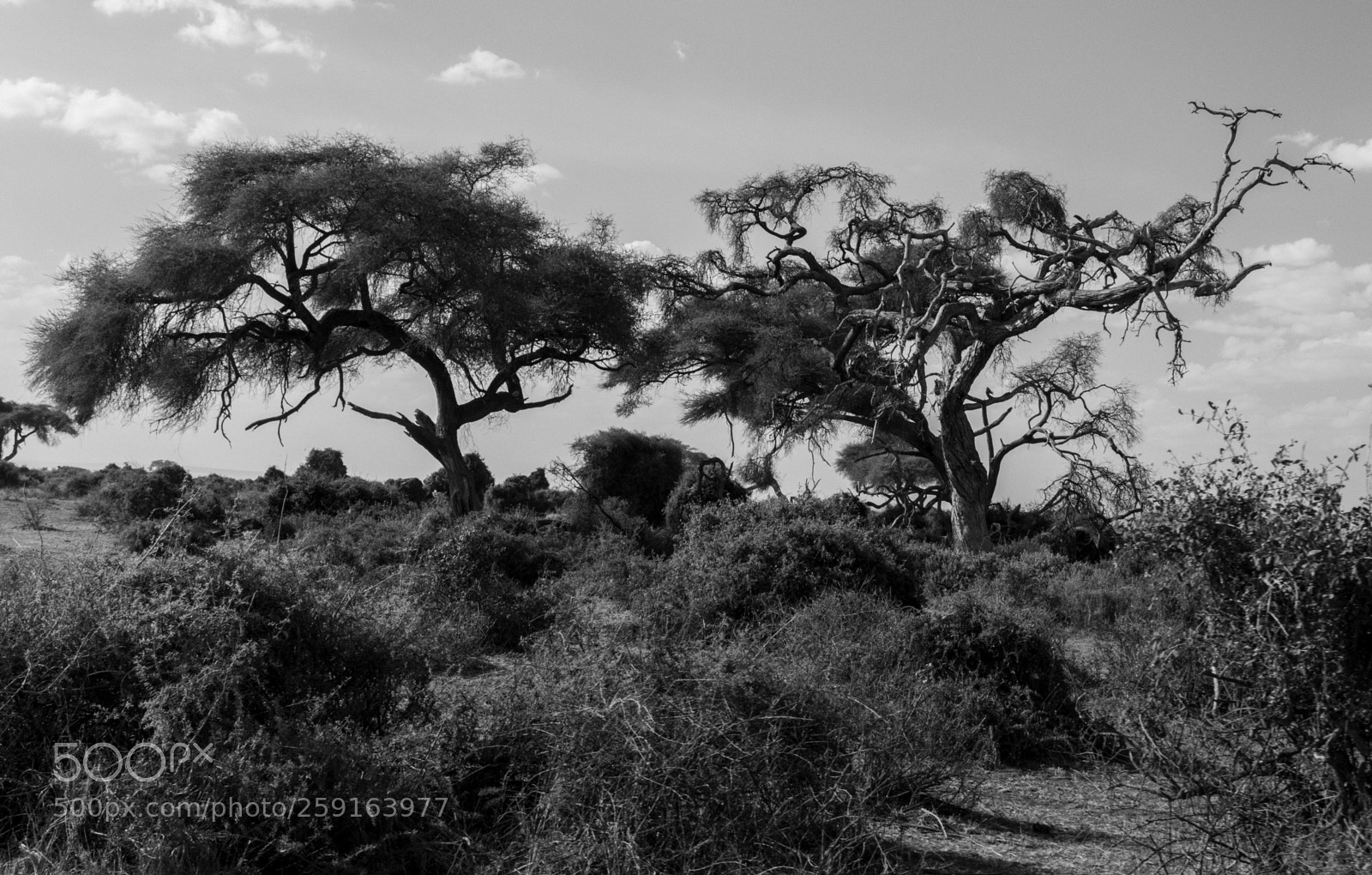 Canon EOS 7D Mark II sample photo. 4d2a0703-2.jpg photography