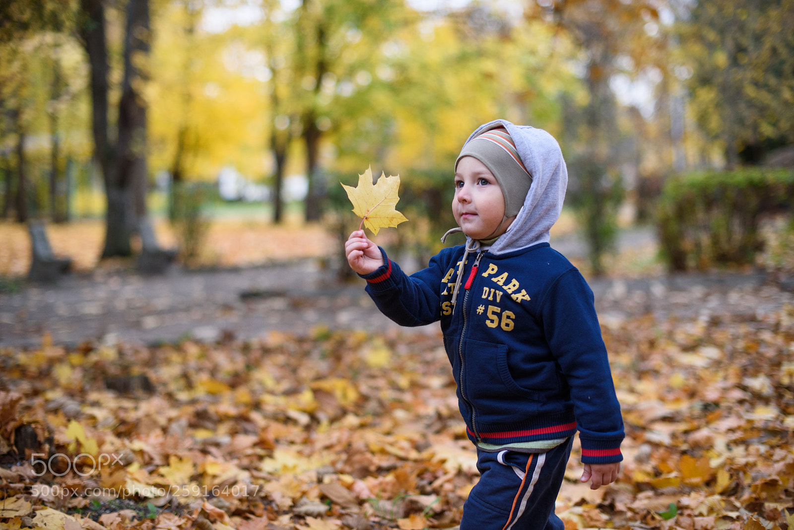 Nikon D750 sample photo. Rodion photography