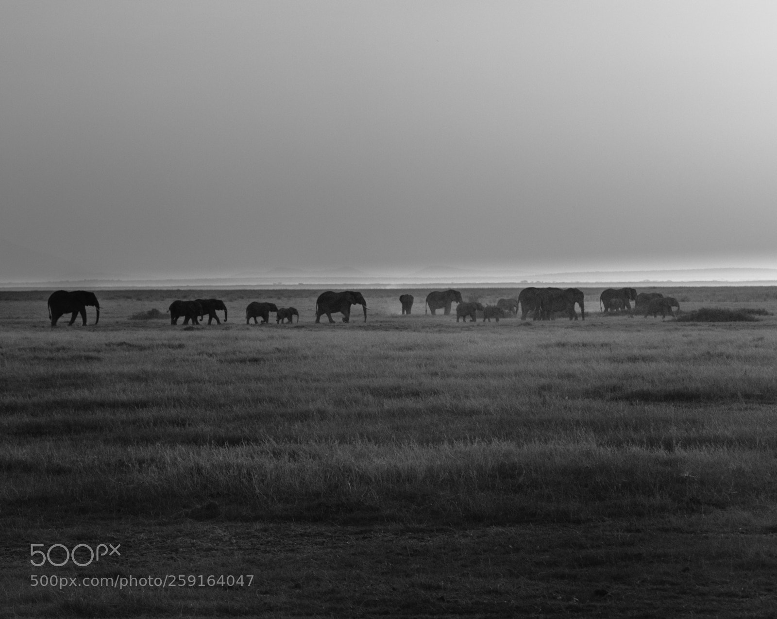 Canon EOS 7D Mark II sample photo. 4d2a0842-2.jpg photography
