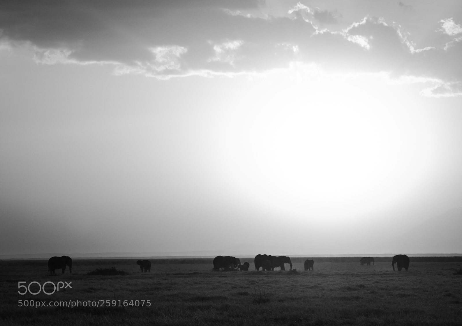 Canon EOS 7D Mark II sample photo. 4d2a0880-2.jpg photography