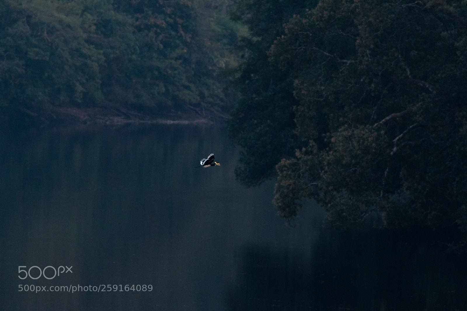 Canon EOS 70D sample photo. Life along the river photography