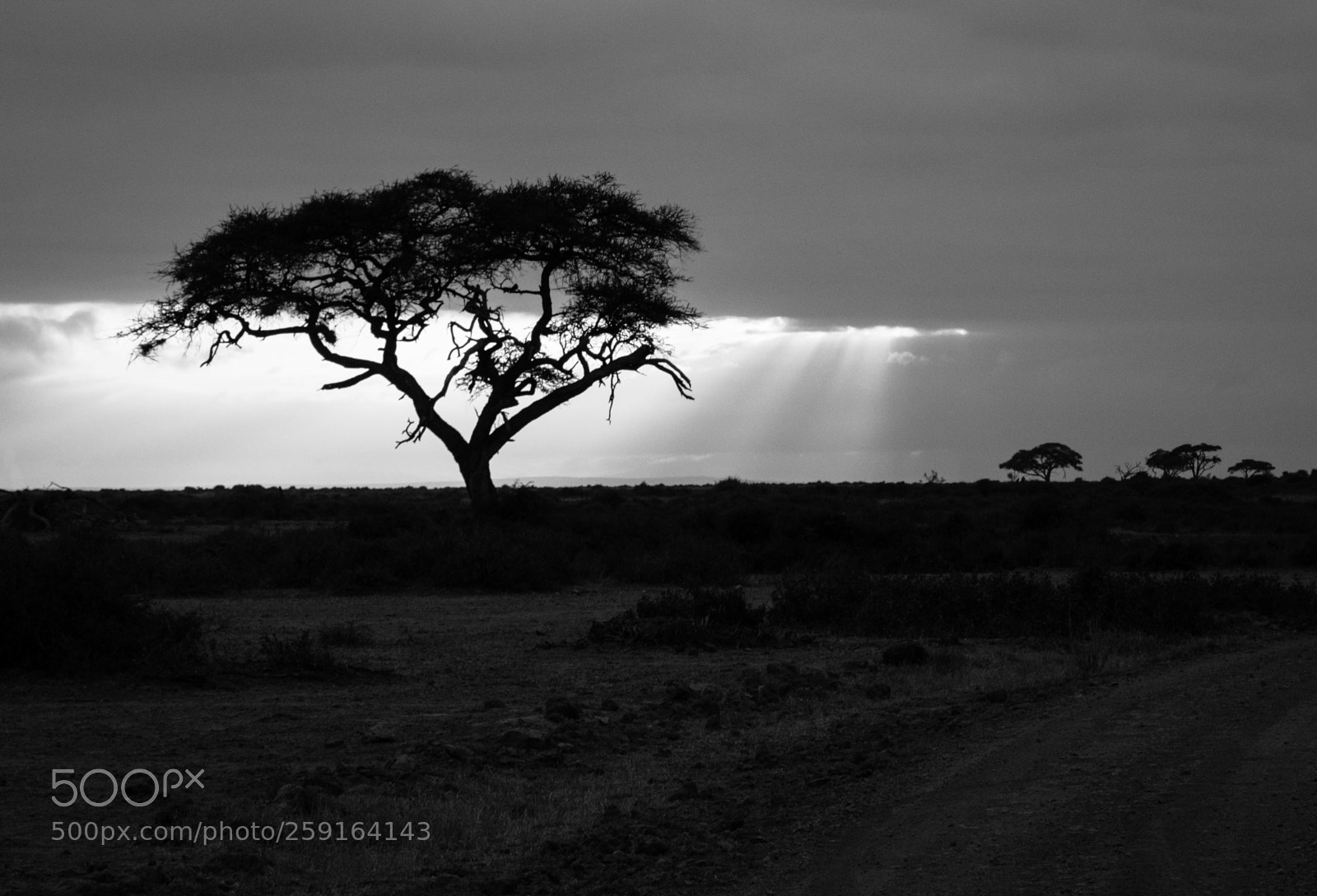 Canon EOS 7D Mark II sample photo. 4d2a0944-2.jpg photography