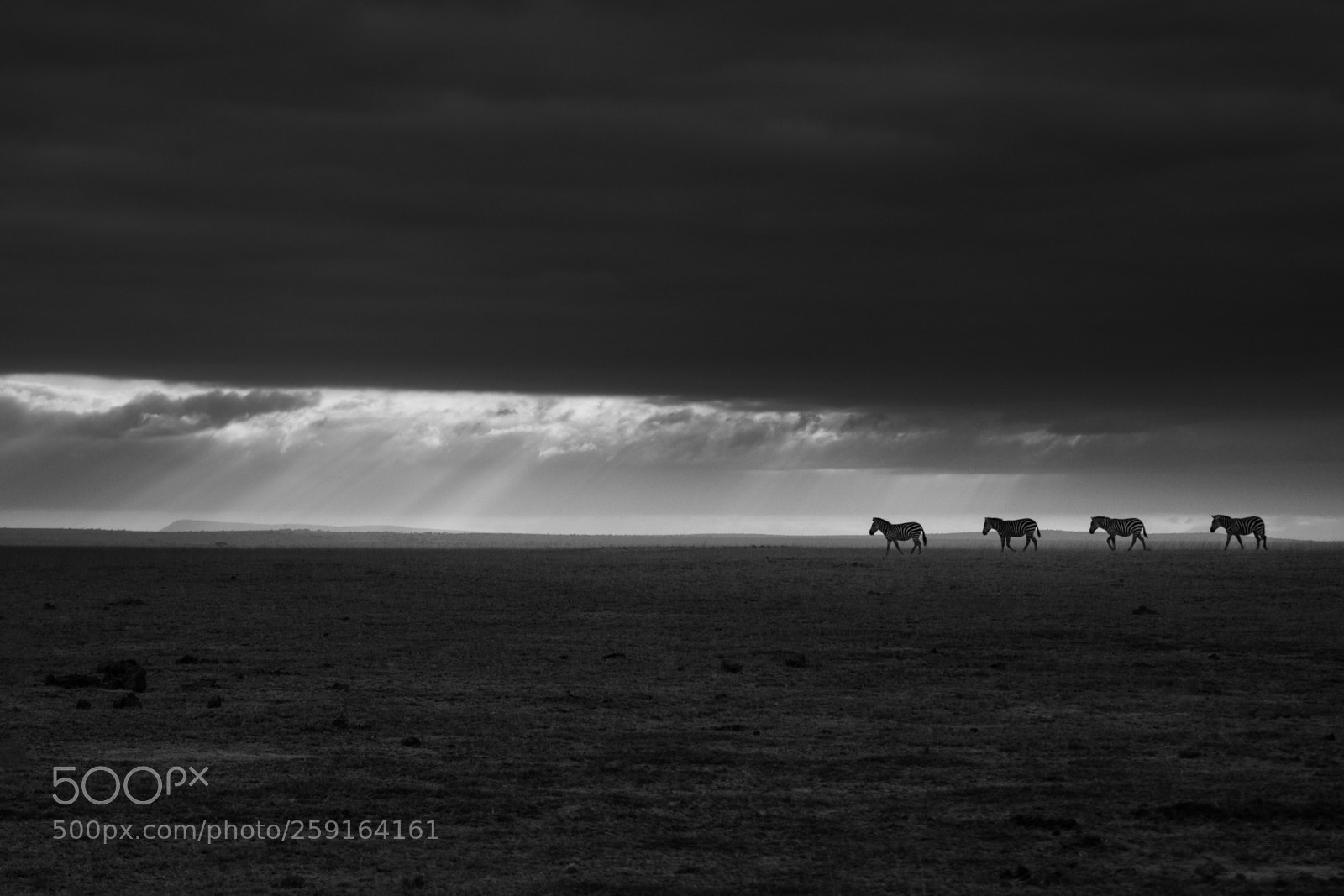 Canon EOS 7D Mark II sample photo. 4d2a0956-2.jpg photography