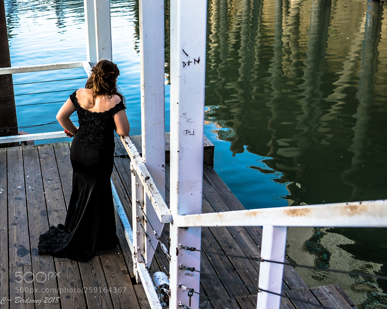Sony a7R III sample photo. _0183819.jpg photography