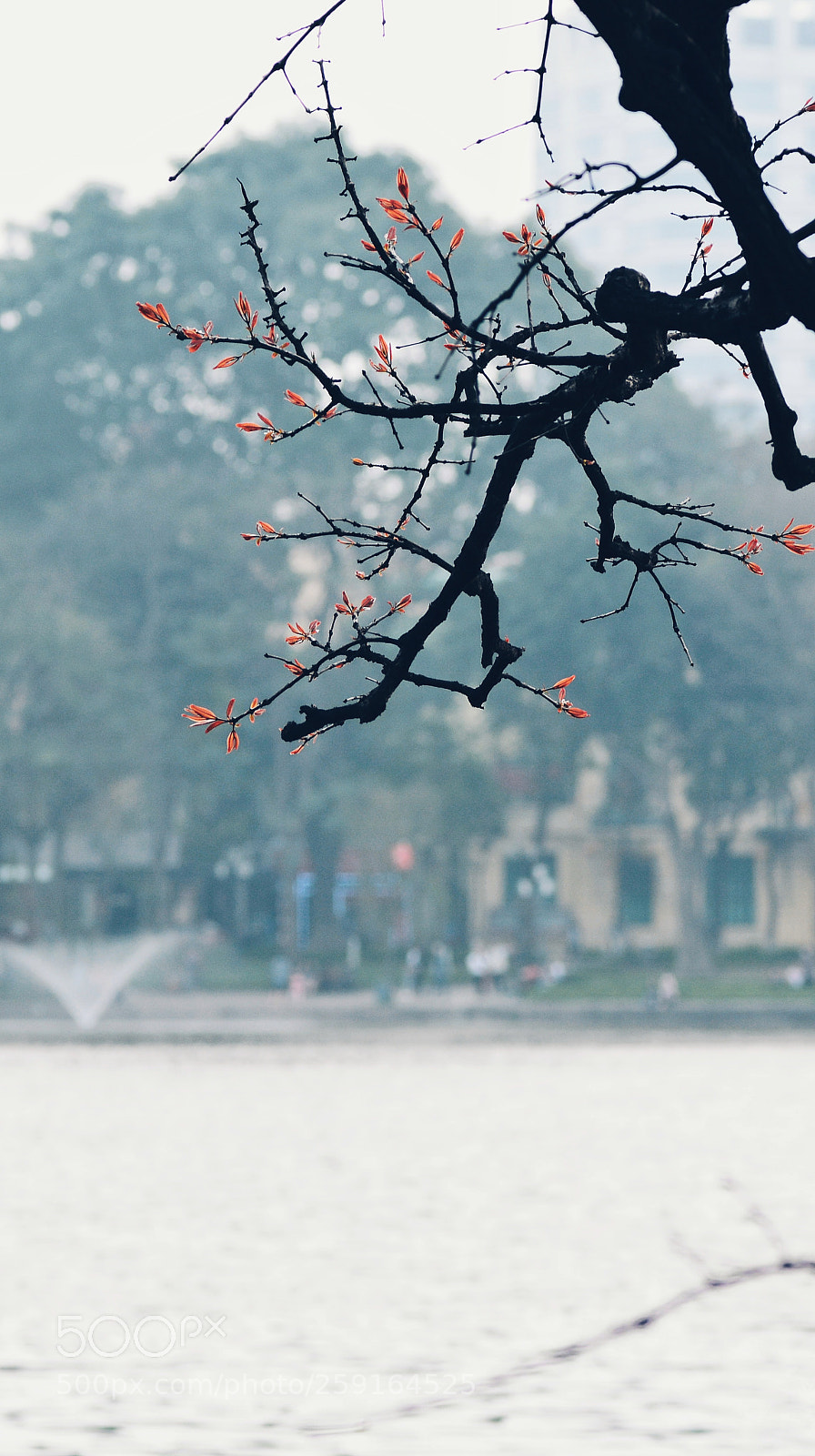 Nikon D7100 sample photo. Untitled photography