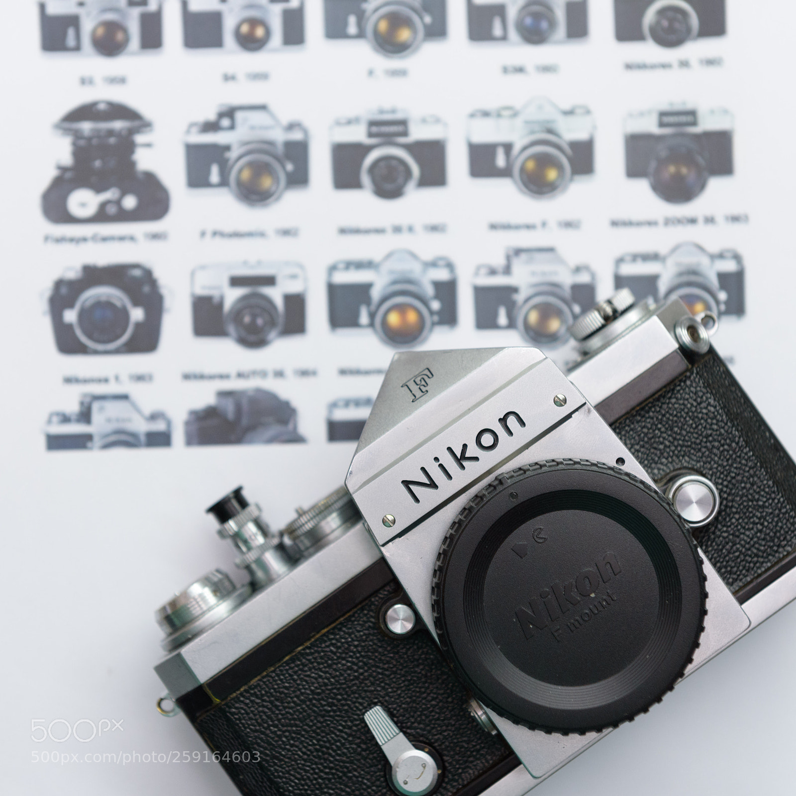 Nikon D750 sample photo. Nikon f photography