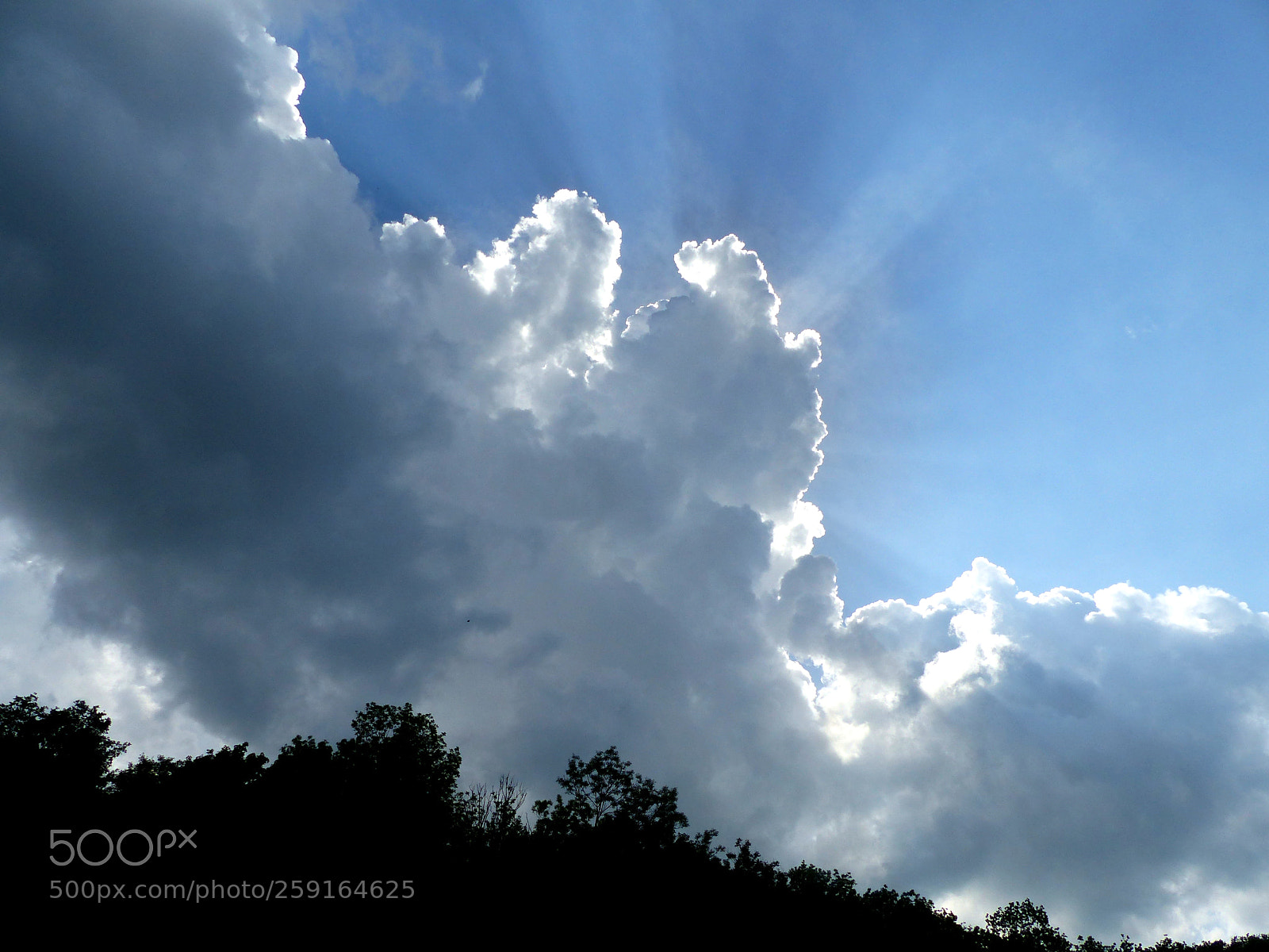 Panasonic Lumix DMC-FZ200 sample photo. Silhouettes photography