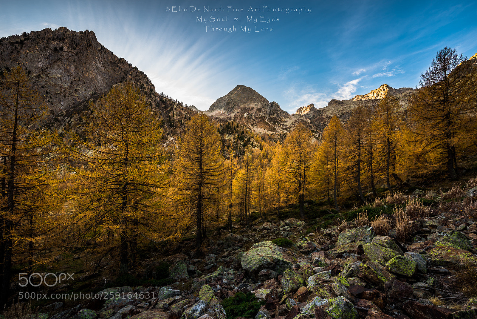 Nikon D810 sample photo. First morning rays photography
